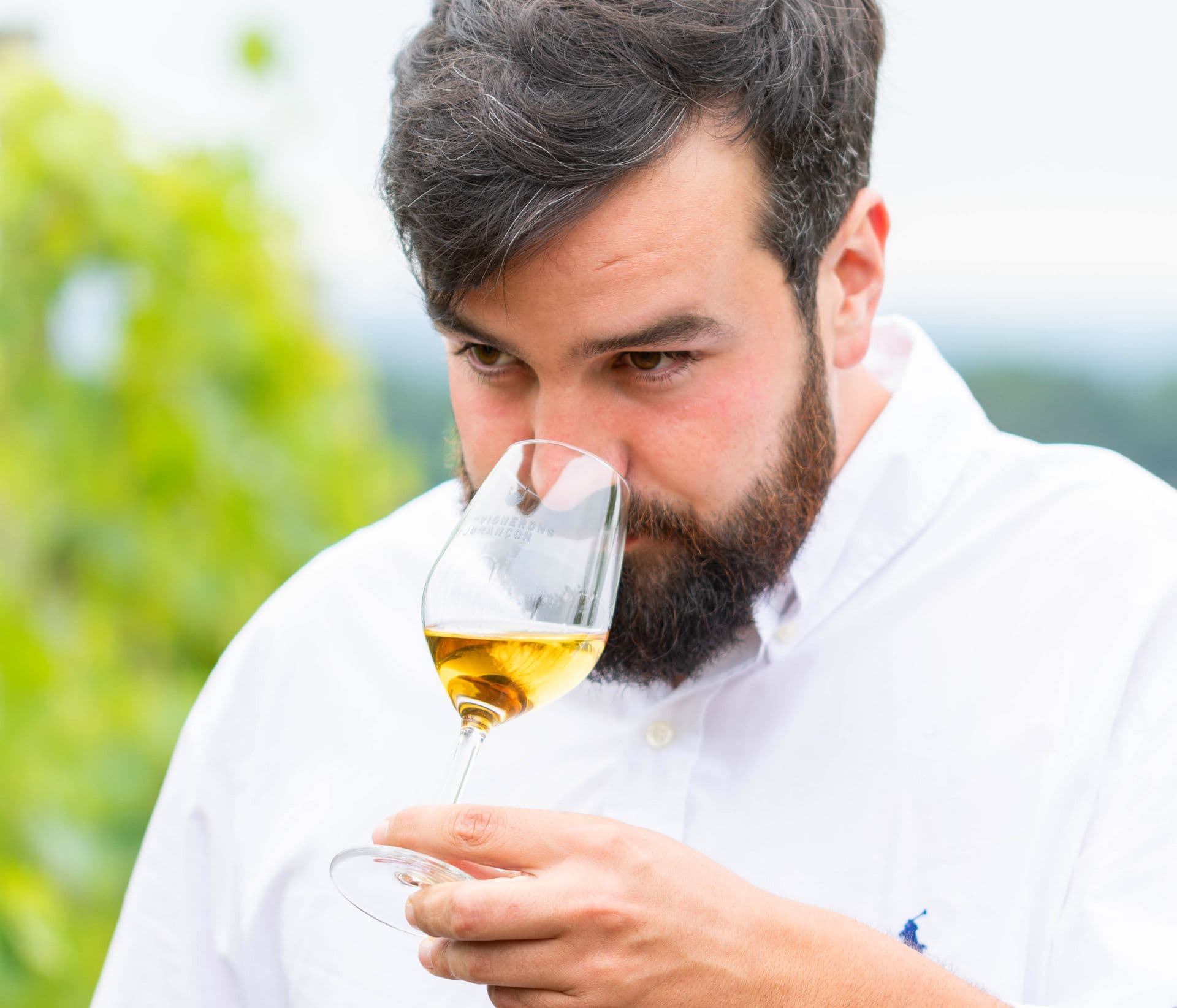 Domaine Nomboly Traydou dégustation