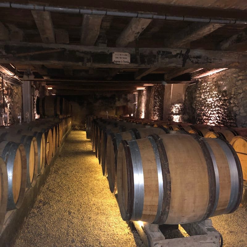 Terres blanches Viticulteur Vins bio degustation Oiron Plaine Vallees Thouarsais