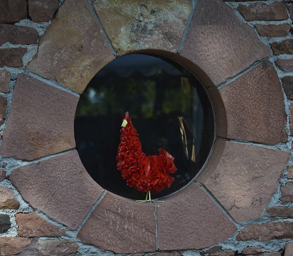 Domaine-coq-rouge-Colonges -coq_16