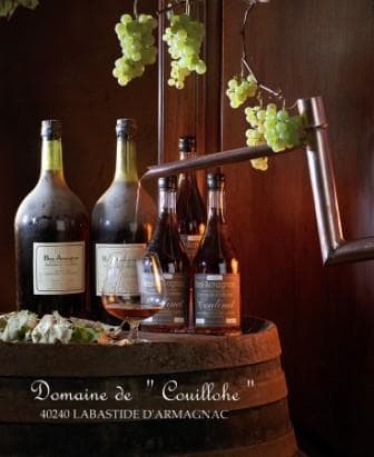 Domaine de Couillohe-Coulinet François_Peyrehorade