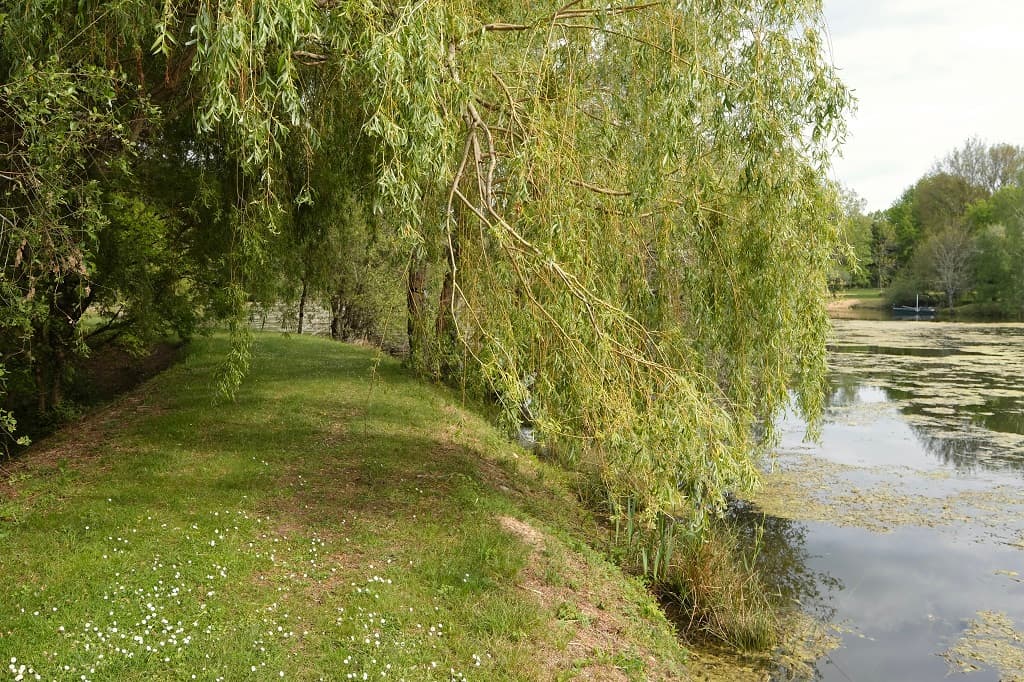 Domaine de Lara - Le tour de l'étang à pied