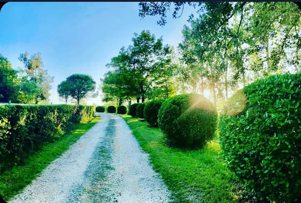 Domaine de Marthes_02