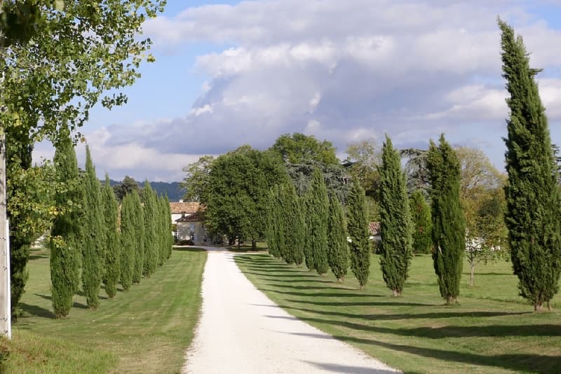 Domaine-de-Pecarrere-Buzet-9