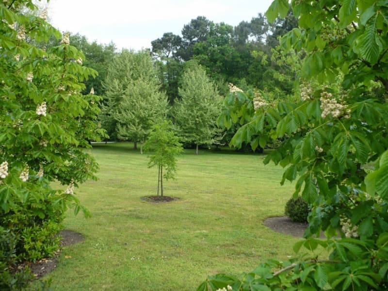 Domaine de la Vernerie 3
