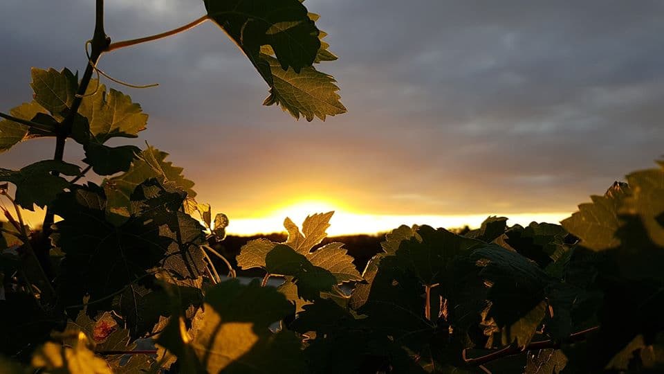 Domaine de Laplace4