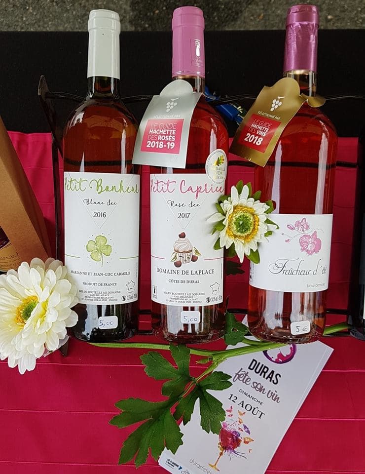 Domaine de Laplace7