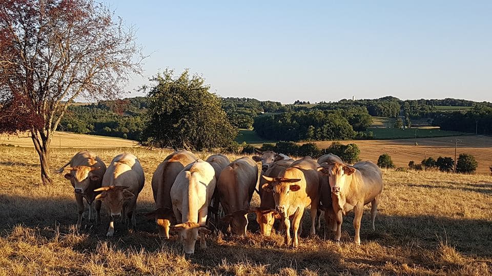 Domaine de Laplace8