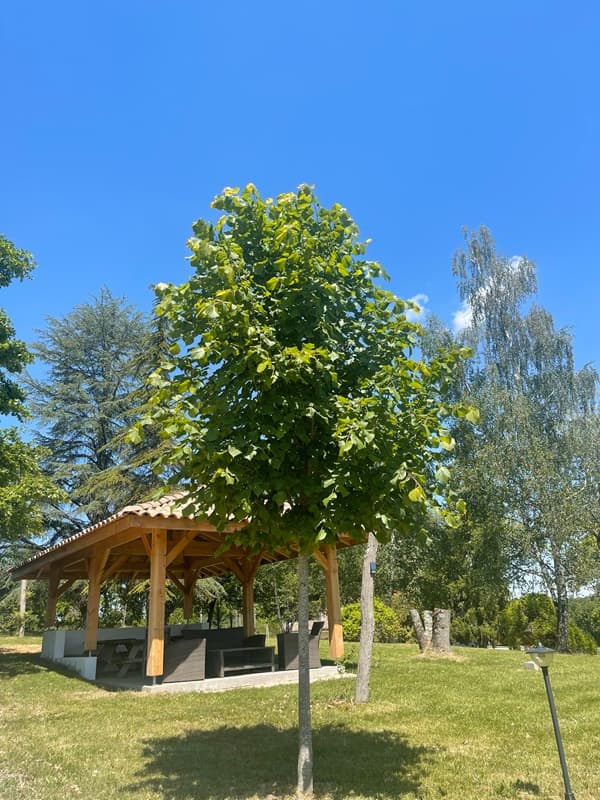 Domaine des Peyriès - extérieur1