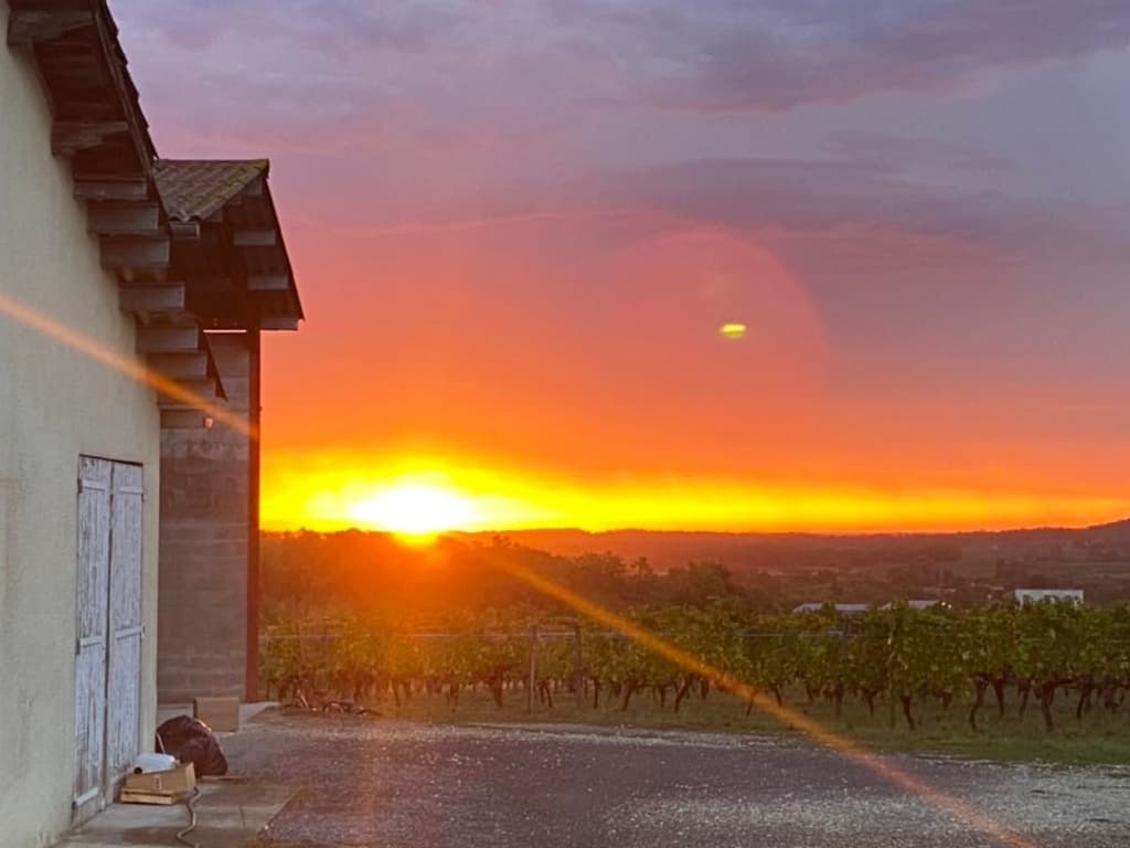 Domaine du Buisson