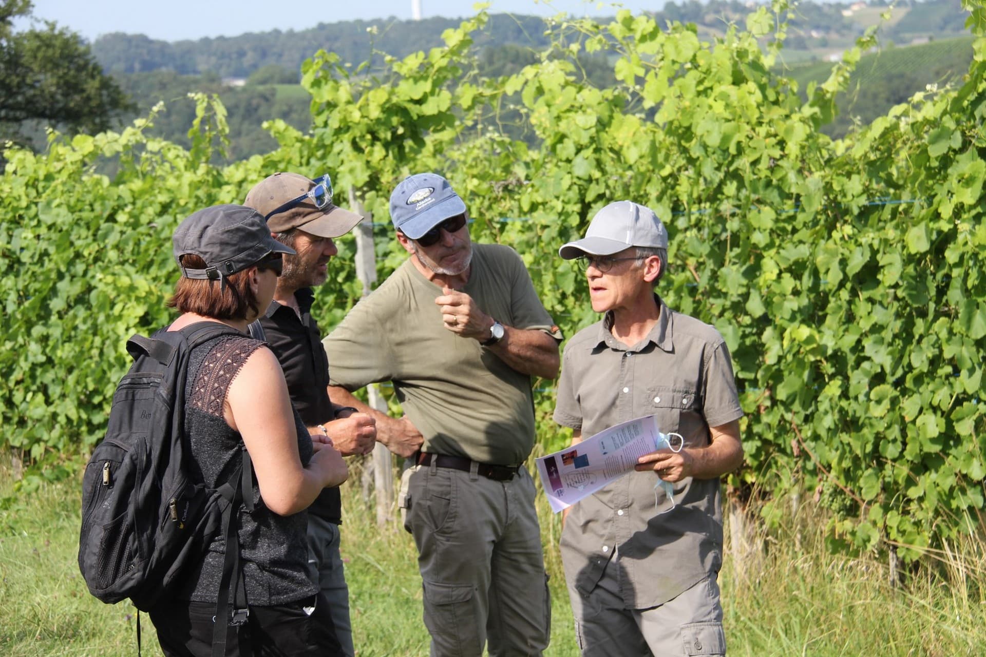 Domaine nigri (5)
