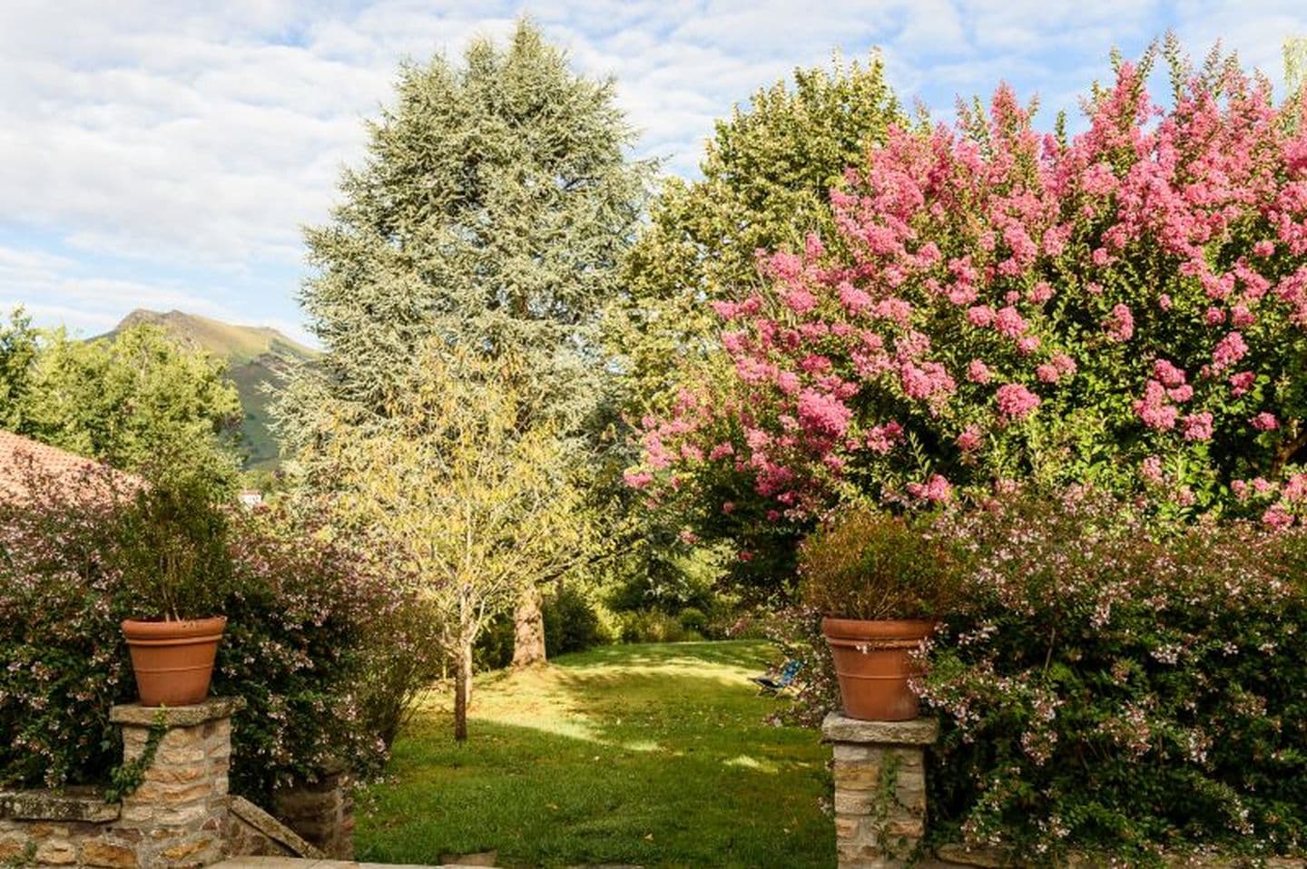 Dominxenea-jardin