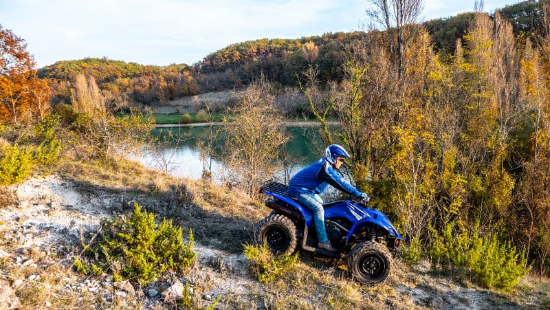 DquadsDjets-sirt2
