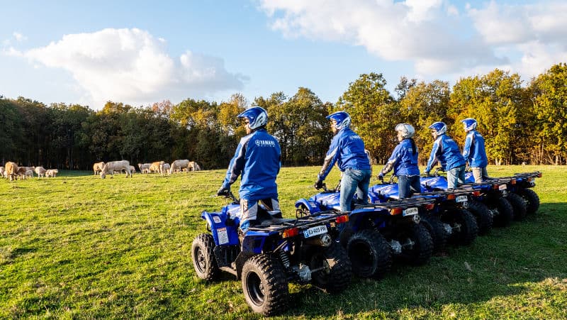 DquadsDjets-sirt5