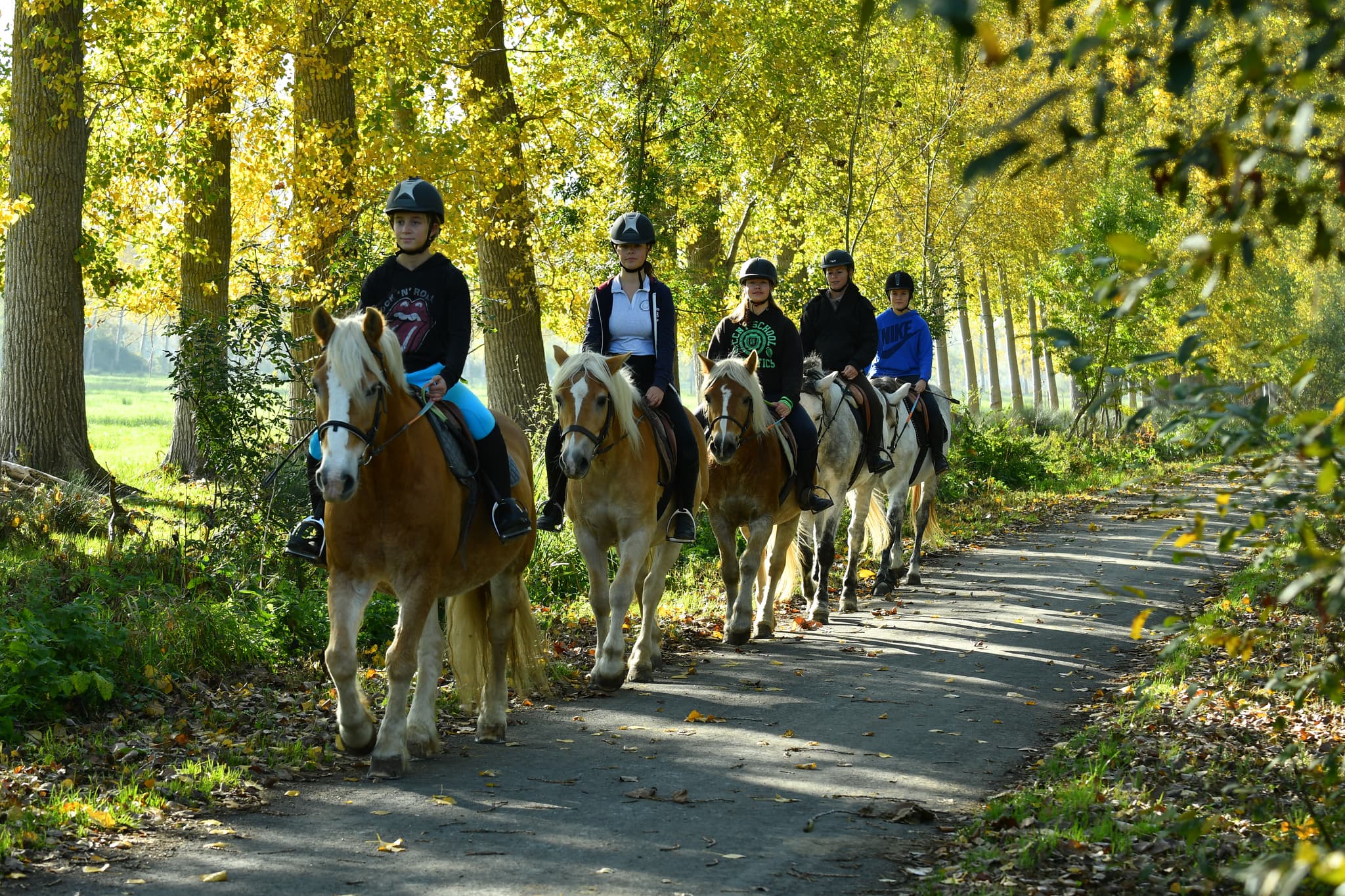 Promenade à cheval