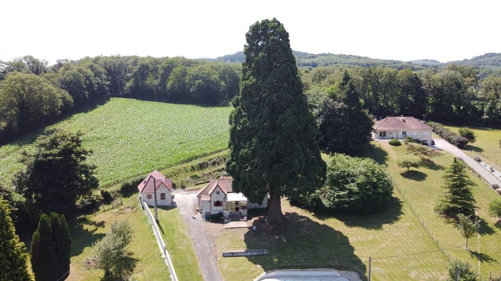 Drone 2 - Copie