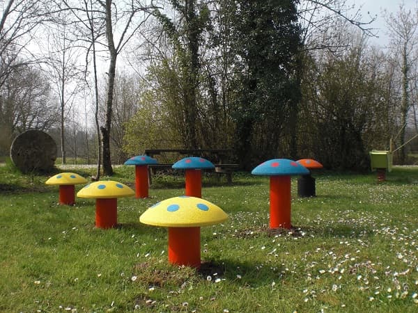 Les champignons de l'aire de jeux du site du Duellas