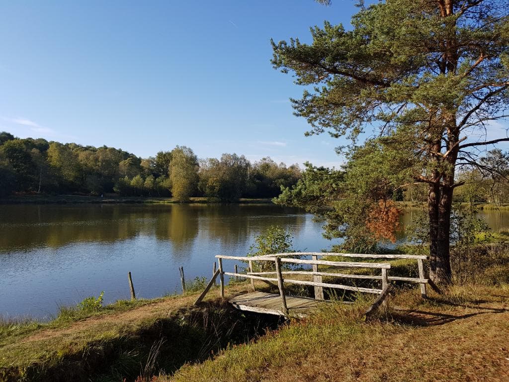 Landes des pierres du mas