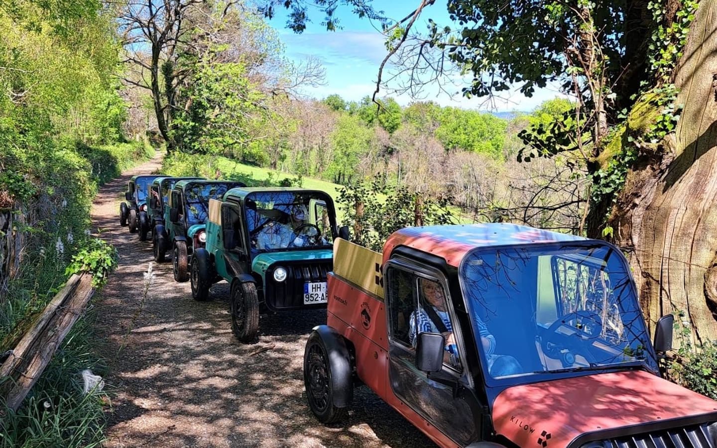 E-Pottok en forêt