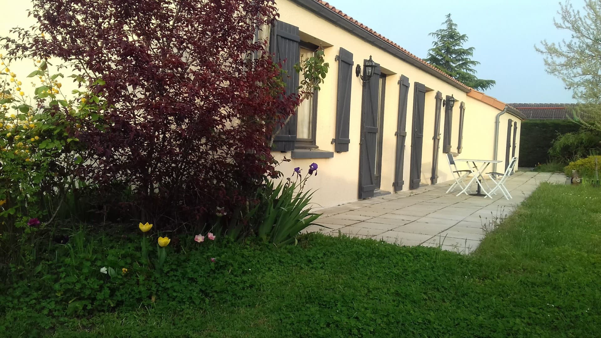 Chambre d'hotes Neron leparc jardin oiseaux Ste verge Thouarsais