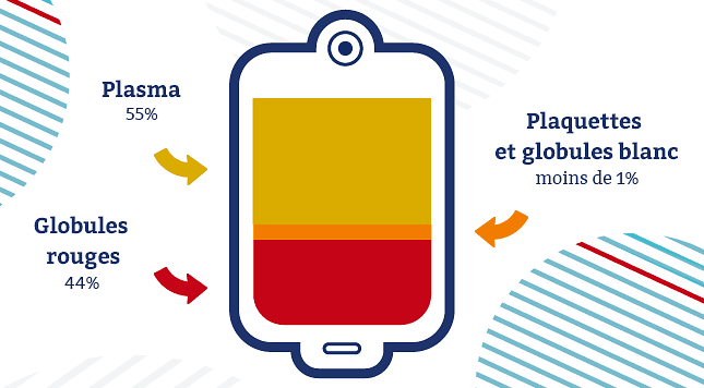 EFS-INFO-Composition-poche-sang