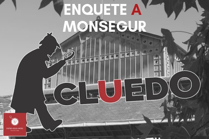 ENQUETE-A-MONSEGUR-3