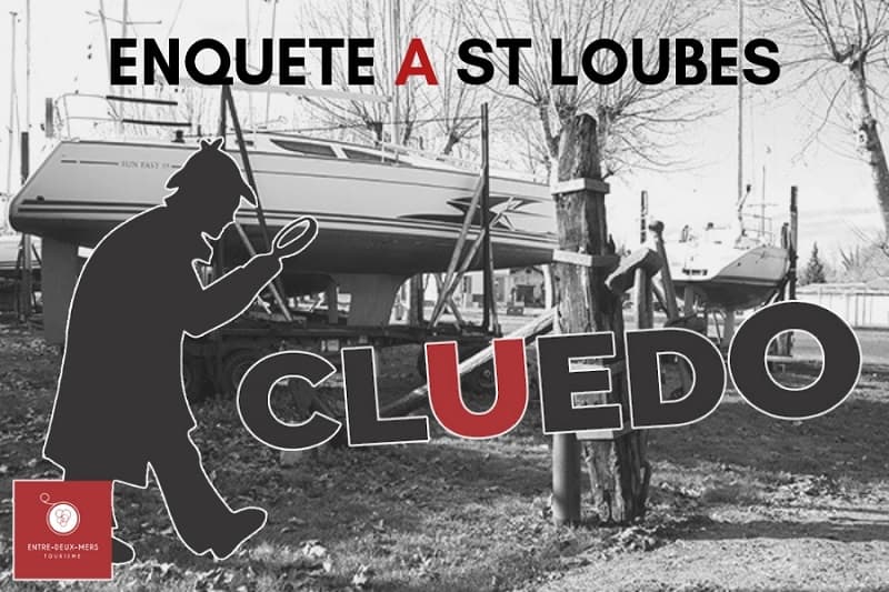 ENQUETE-A-ST-LOUBES-3