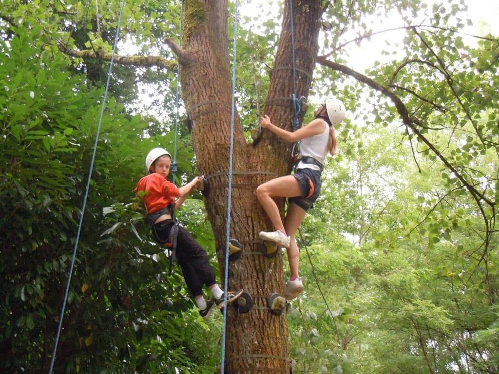 Escalad'arbres Pays d'Argentat_1