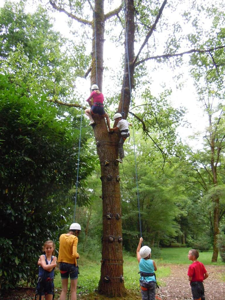 Escalad'arbres Pays d'Argentat_2
