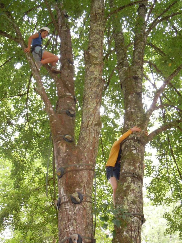 Escalad'arbres Pays d'Argentat_4