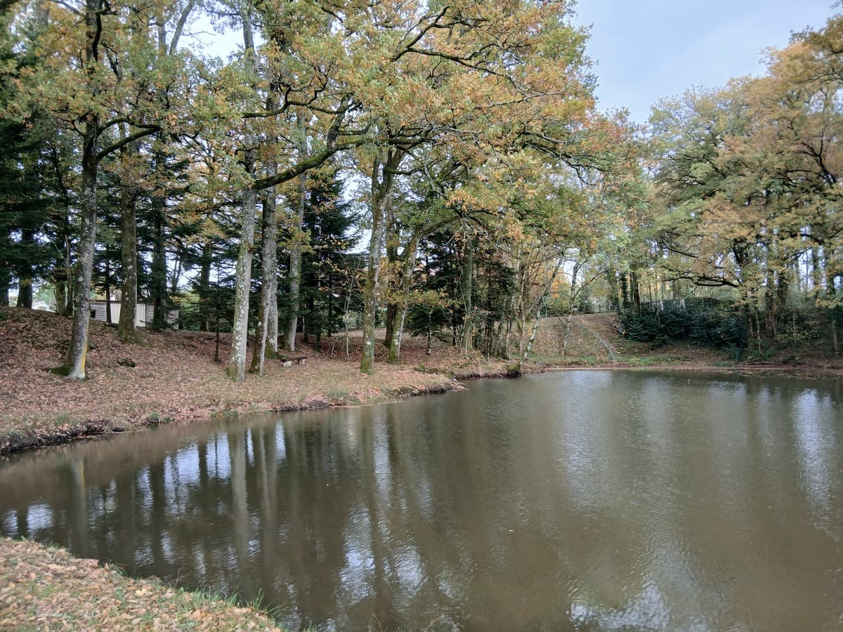 ETANG