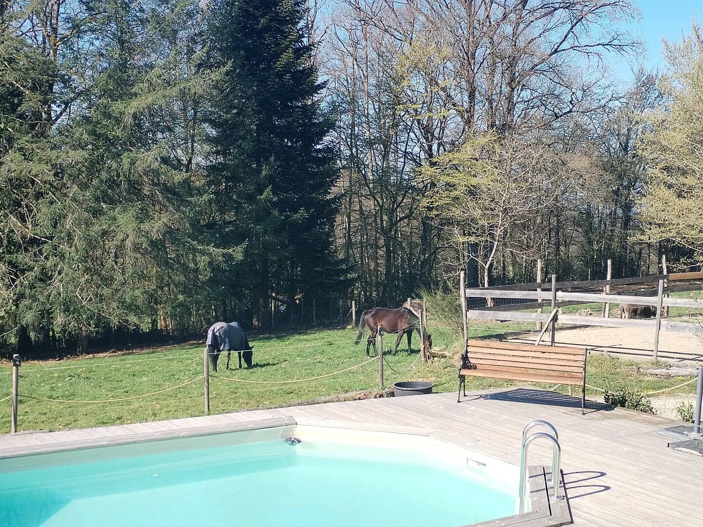 EXTERIEUR PISCINE