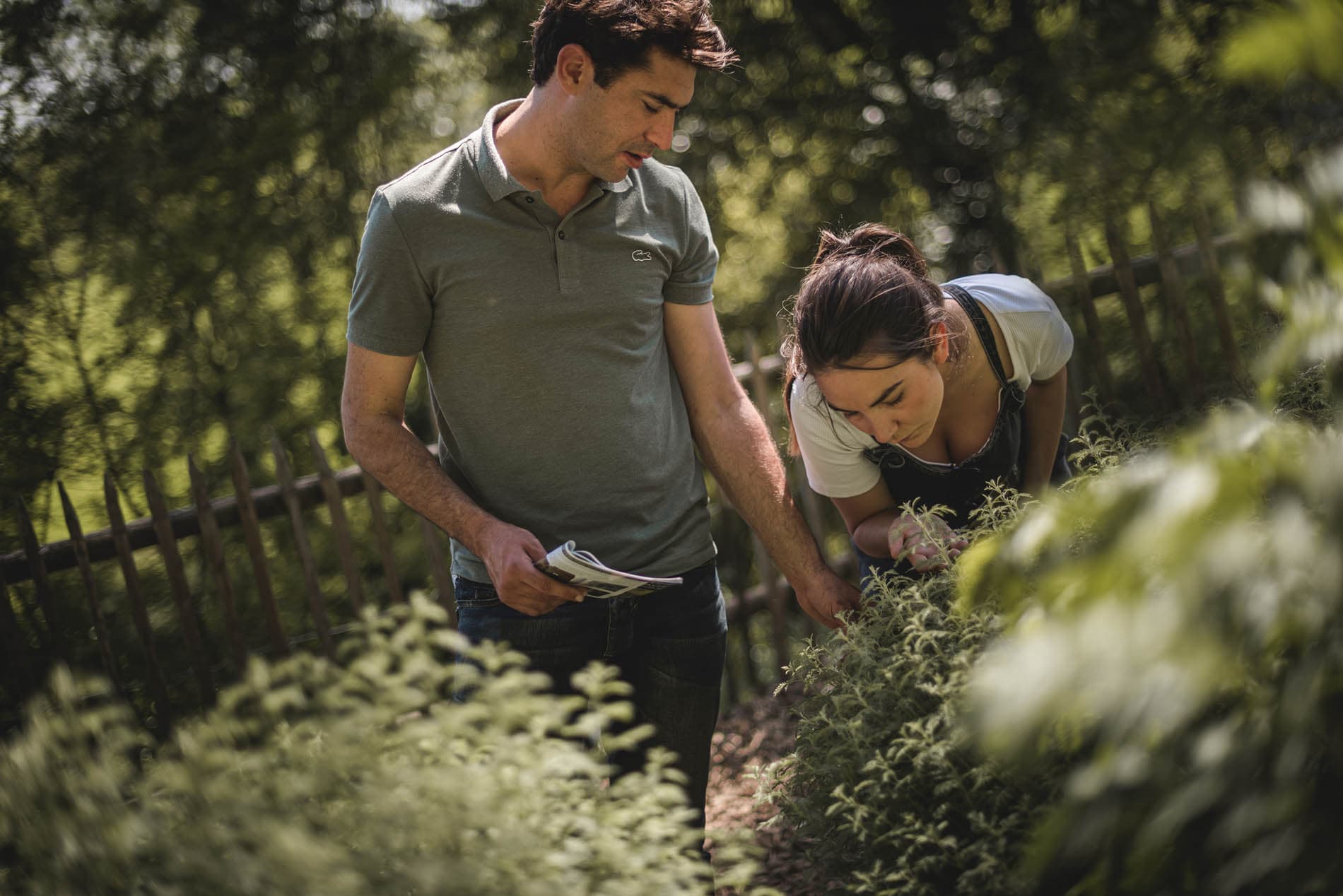 En visite au jardin medicinal