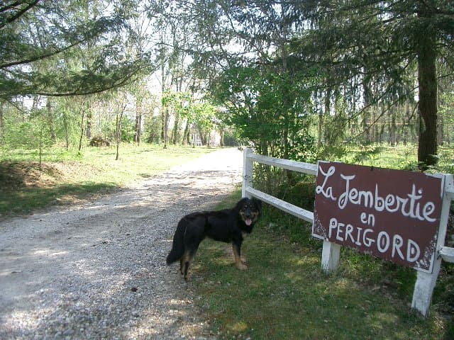 Entrée Jembertie