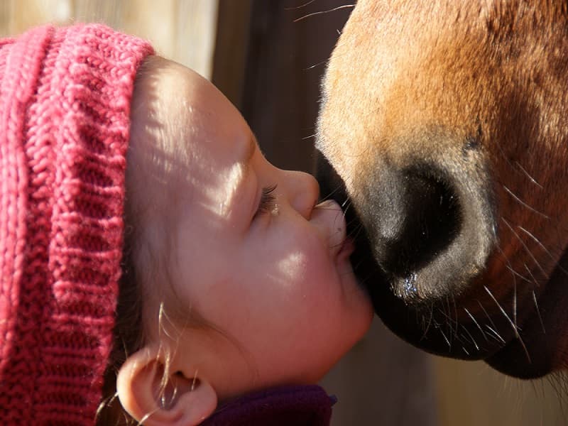Equi-Perigord
