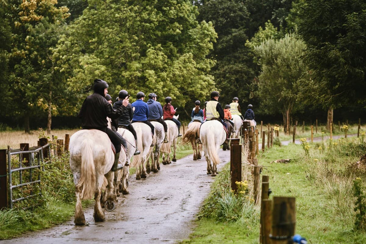 Equitation