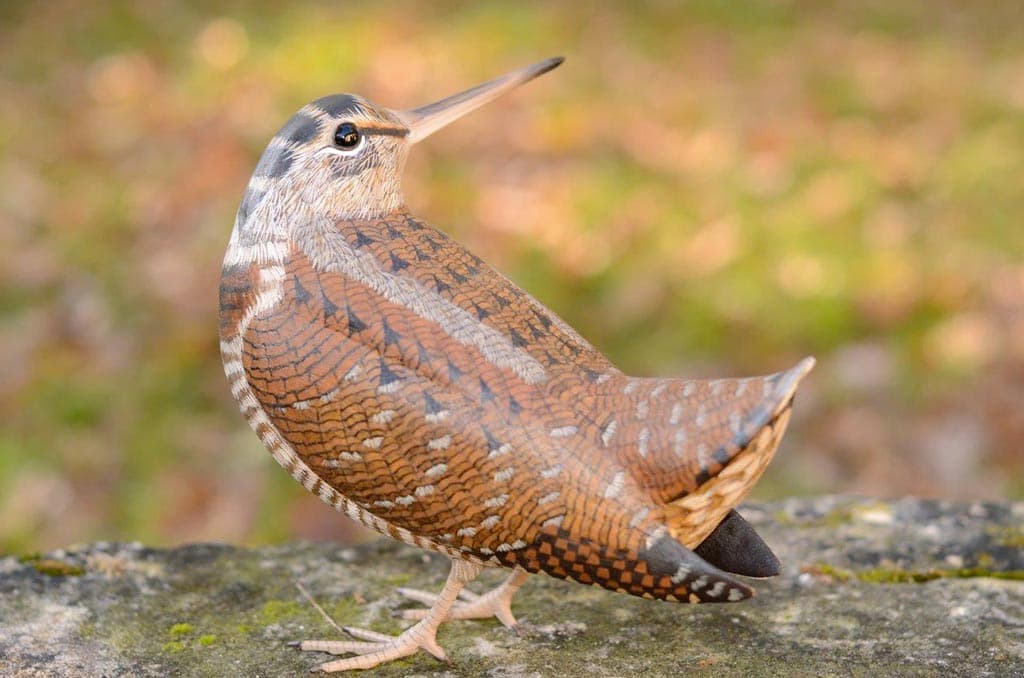 Eric Girard - Sculpteur d'oiseaux en bois