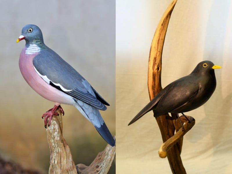 Eric Girard - Sculpteur d'oiseaux en bois