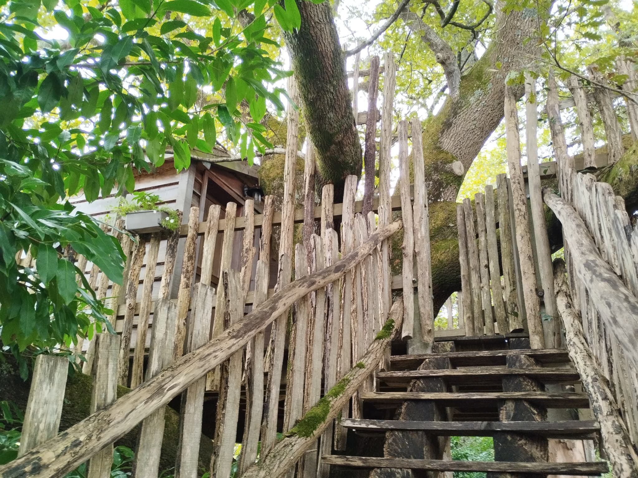 Escalier Papyjotte 2025 ©Hayet