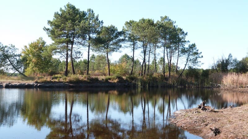Estauleyre (3)