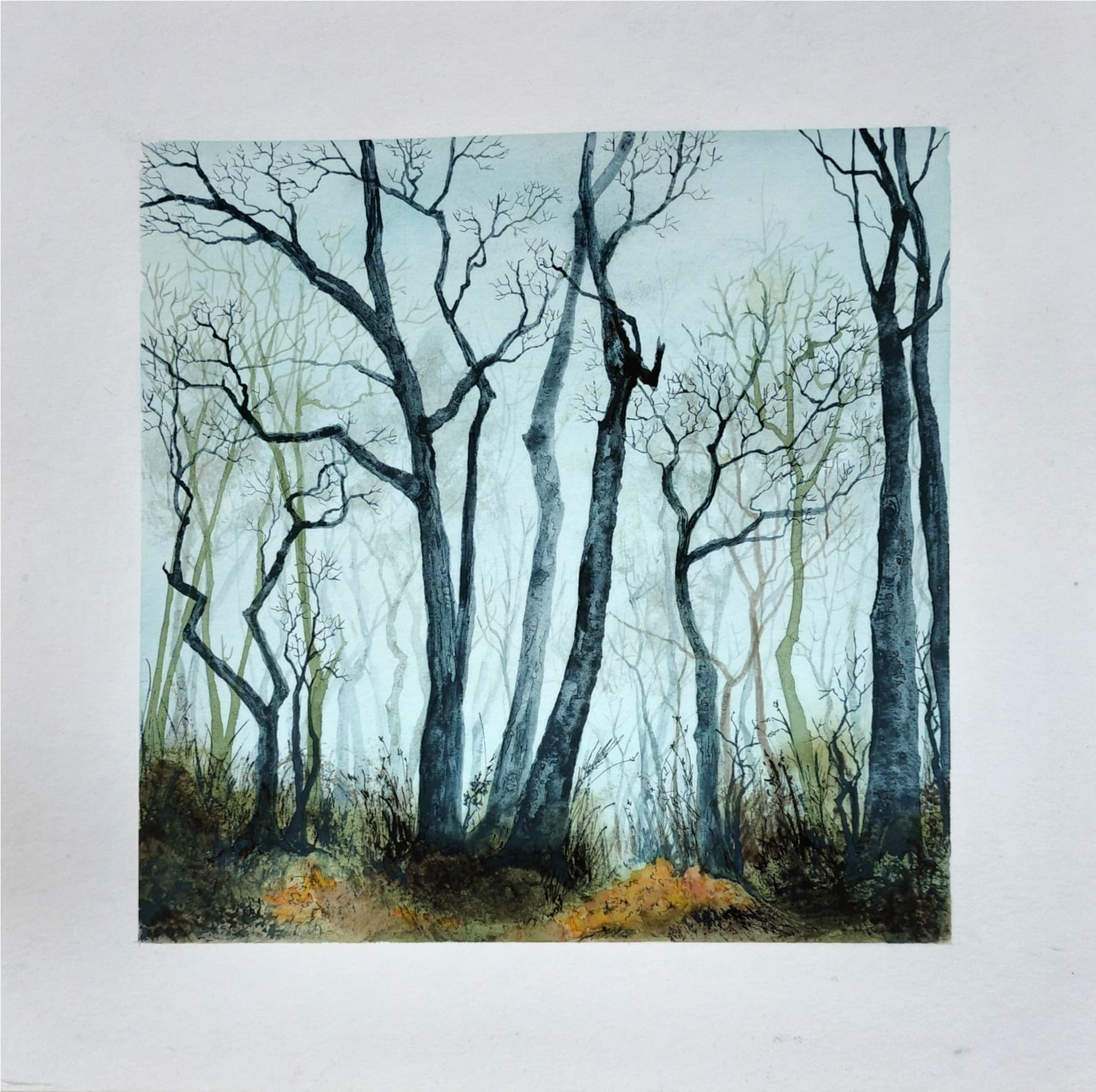 Et si les arbres faisaient...1