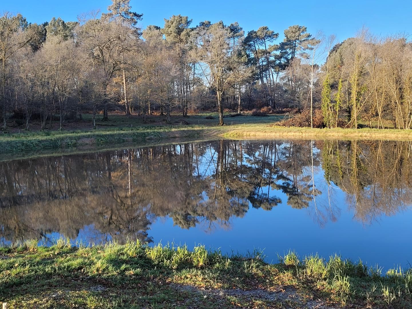 Etang