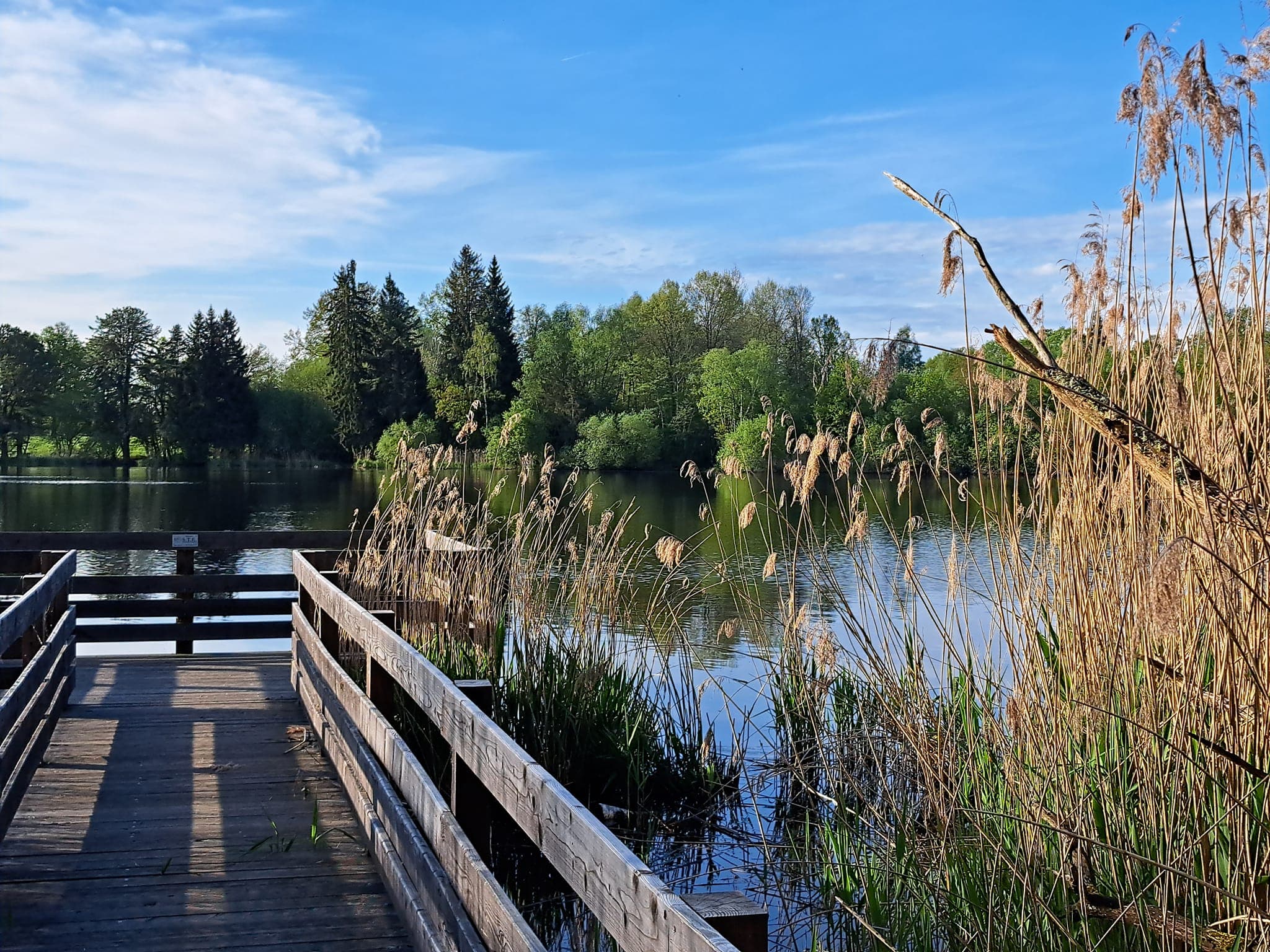 Etang