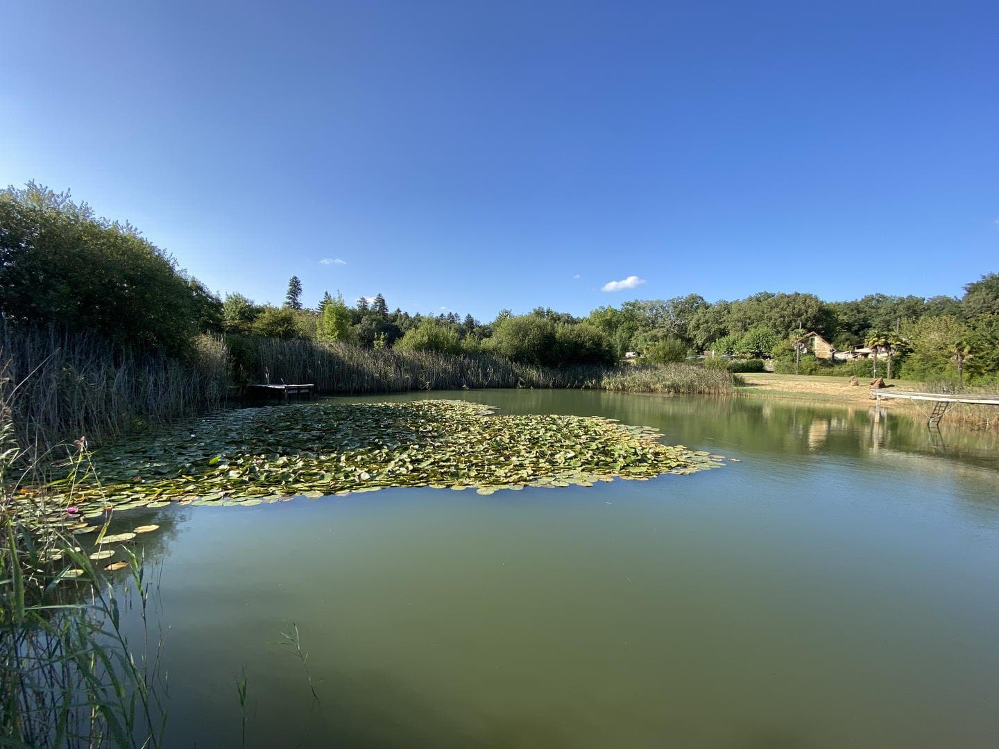 Etang
