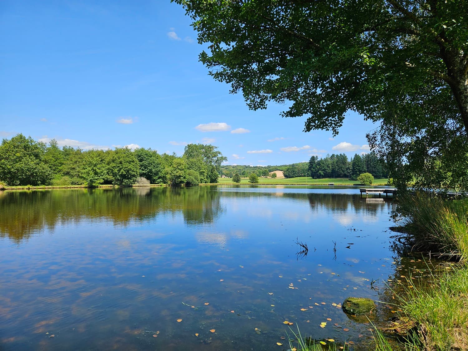Etang de Firbeix