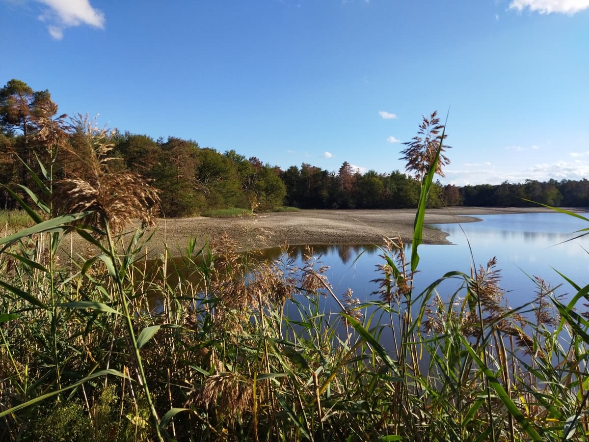 Etang de la Jemaye4
