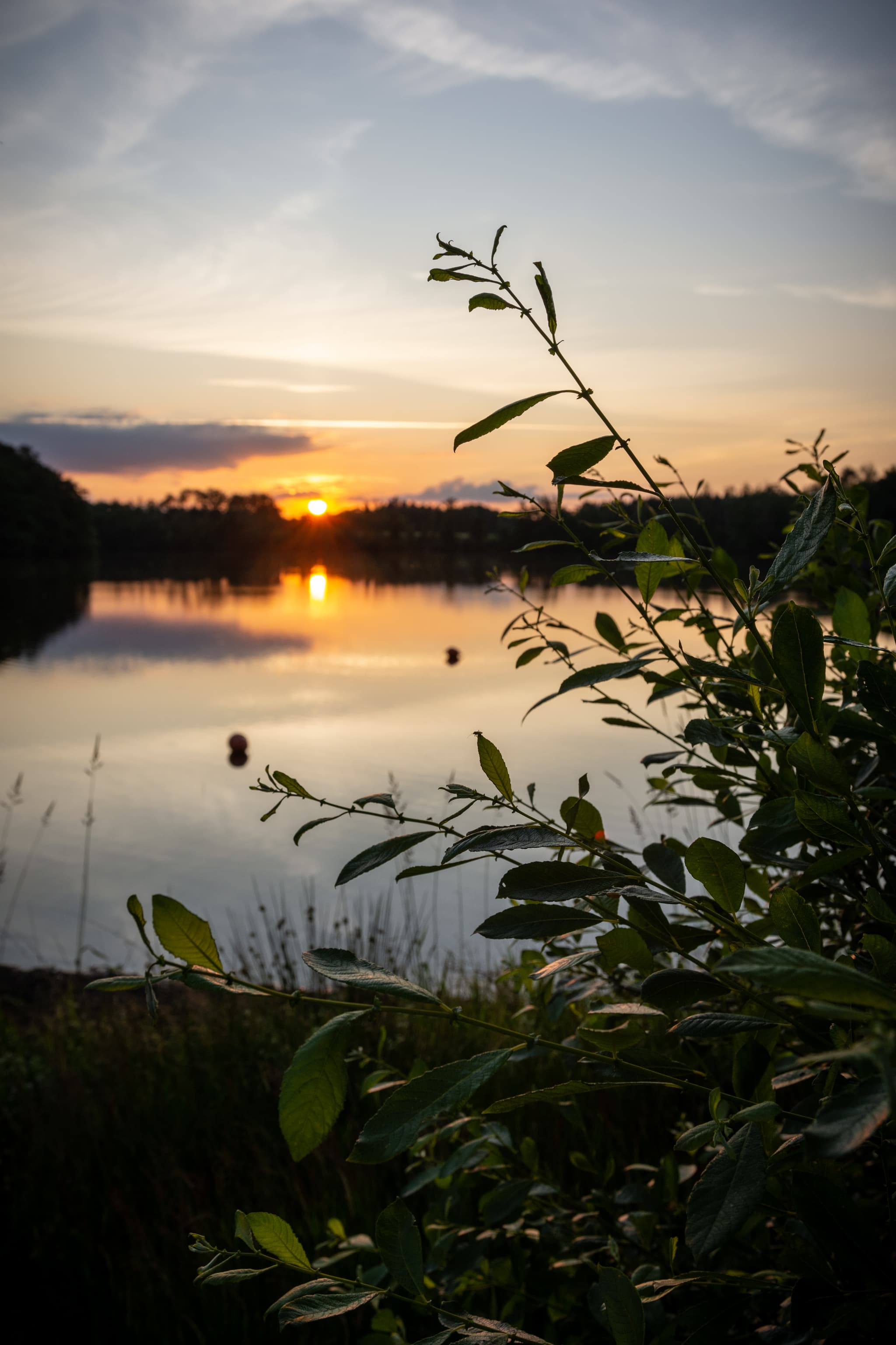 FLAYAT - Etang de la Ramade