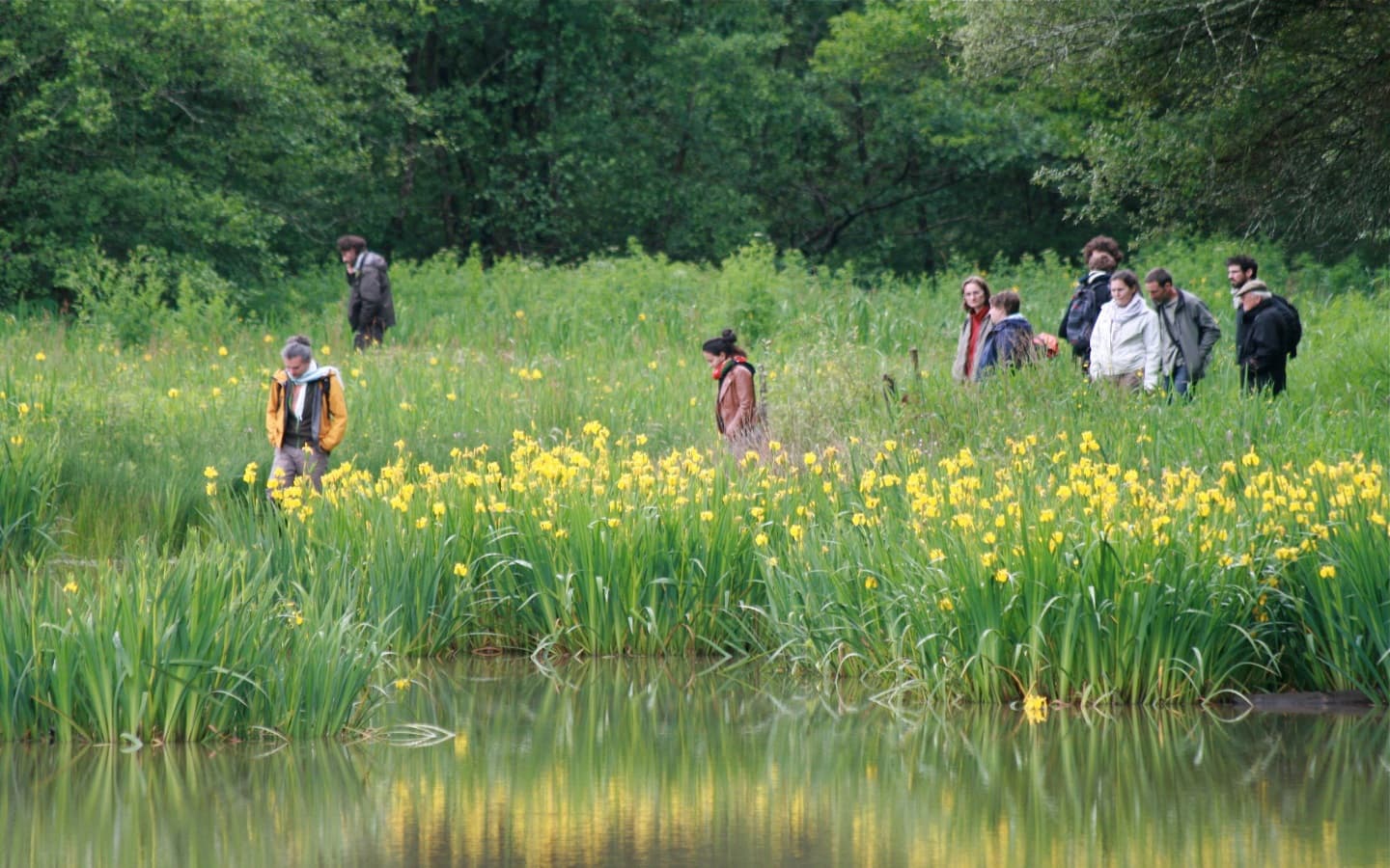 Etang-redim