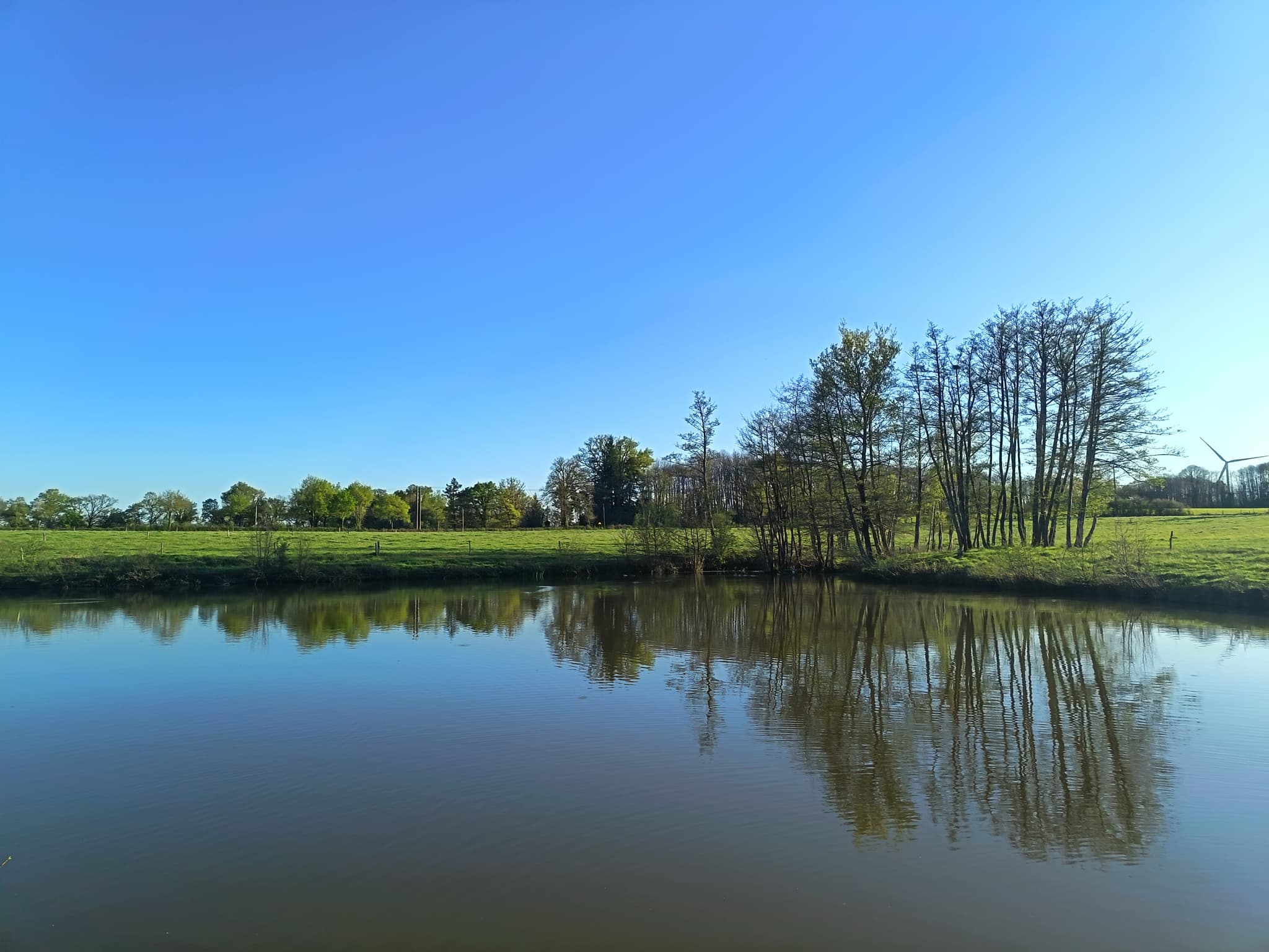 Etang