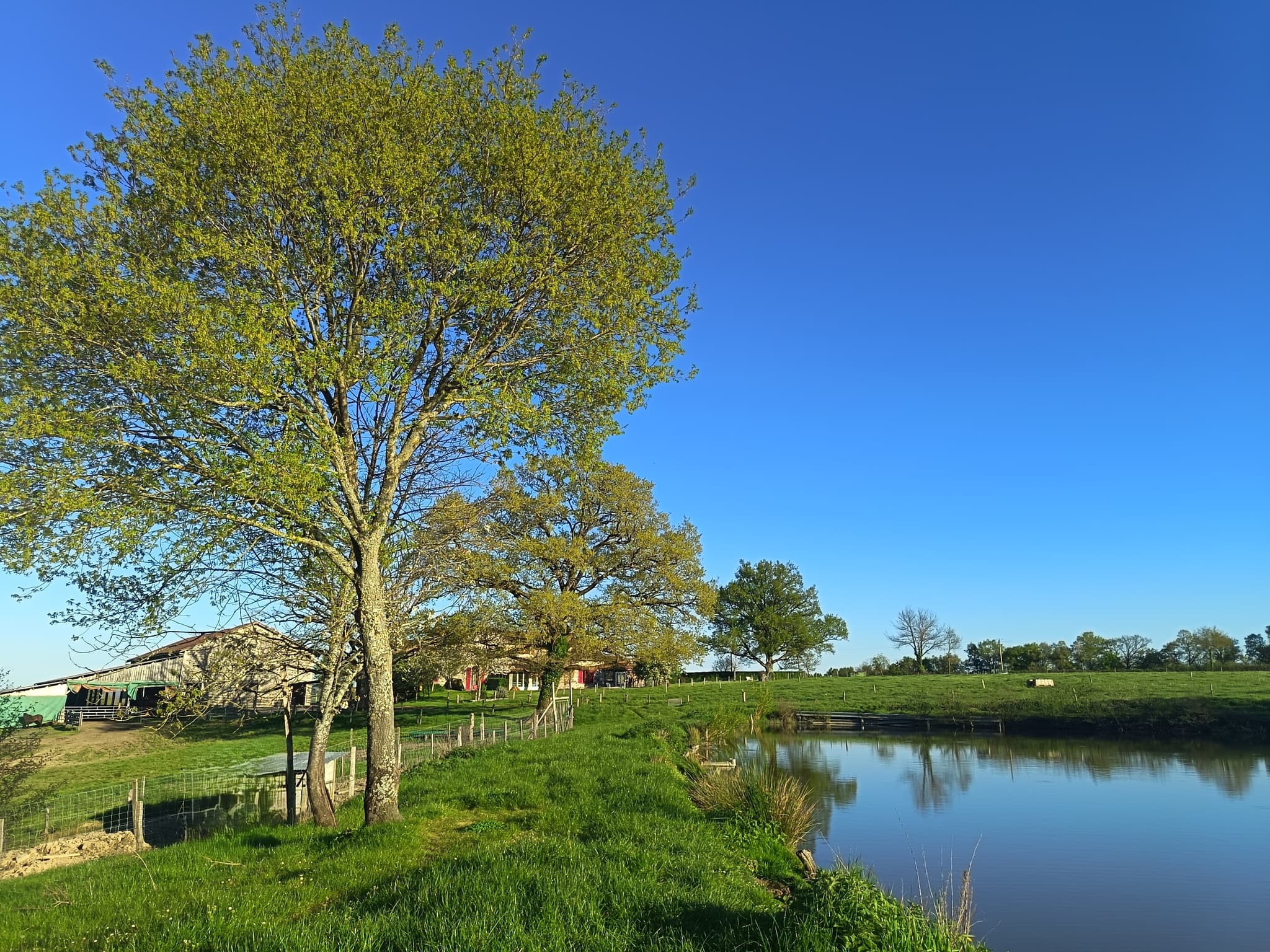 Etang