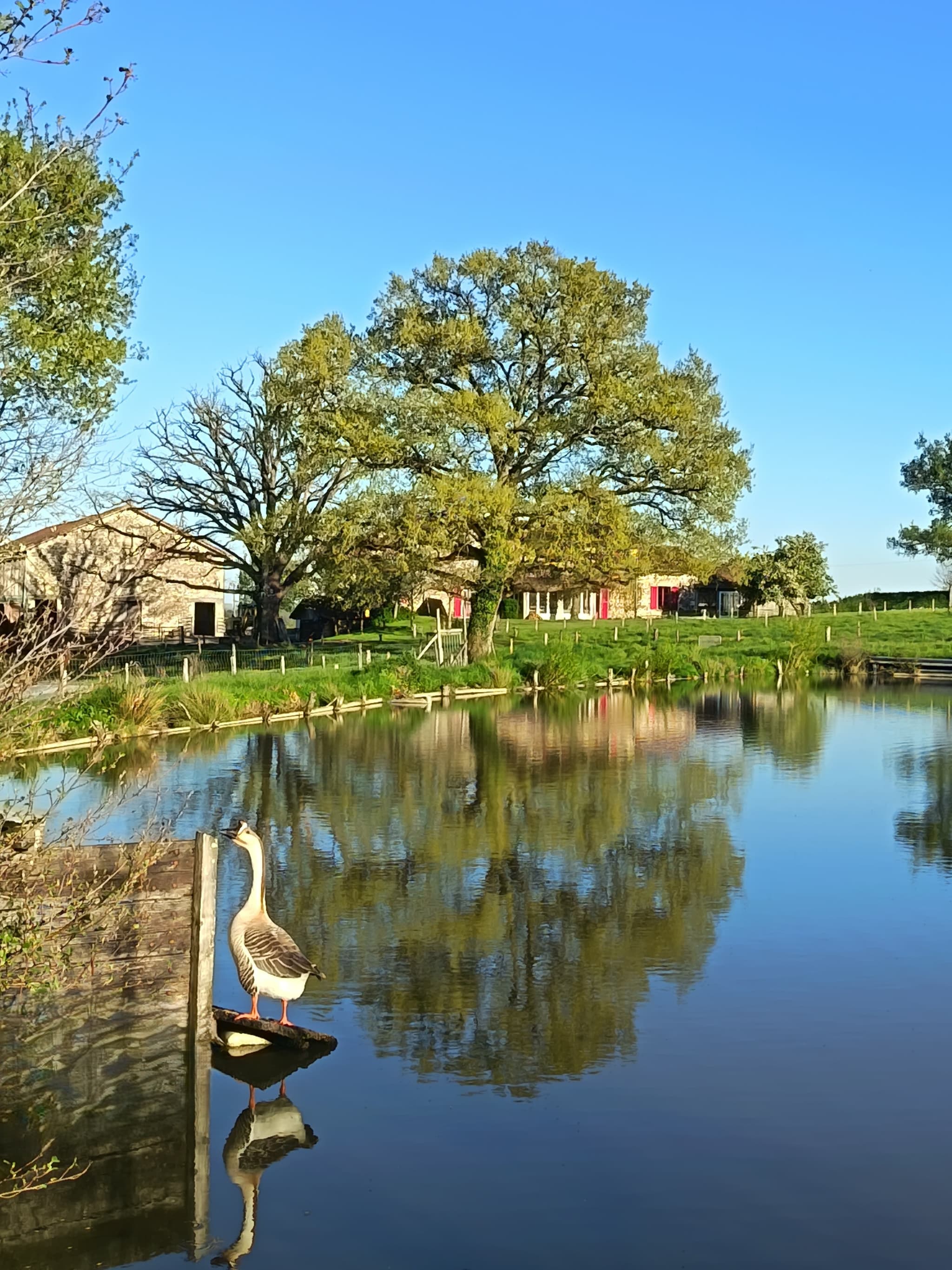 Etang